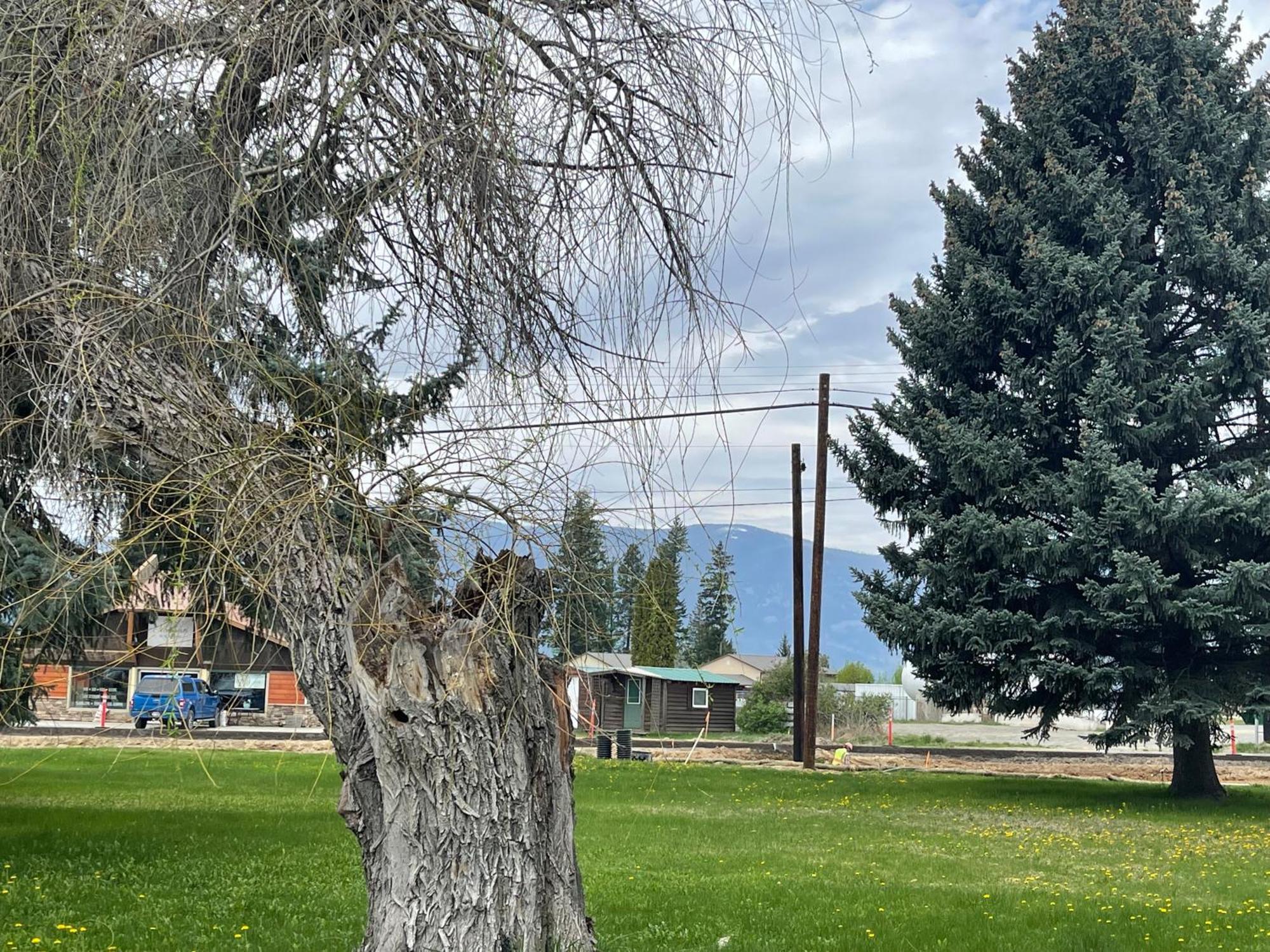 בונרס פרי Kootenai Valley Motel מראה חיצוני תמונה
